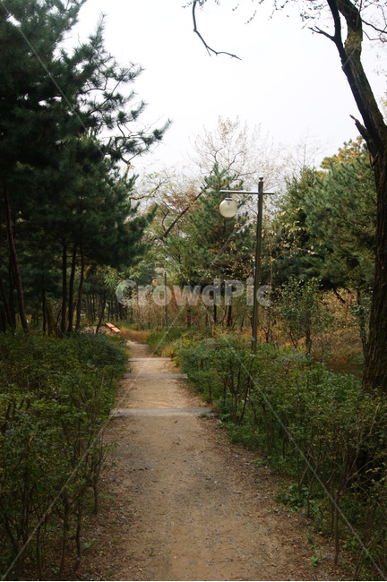 자연,풍경,landscape,nature,rest,길,나무숲,숲길,산책,산책로,등산,나무,힐링,휴식