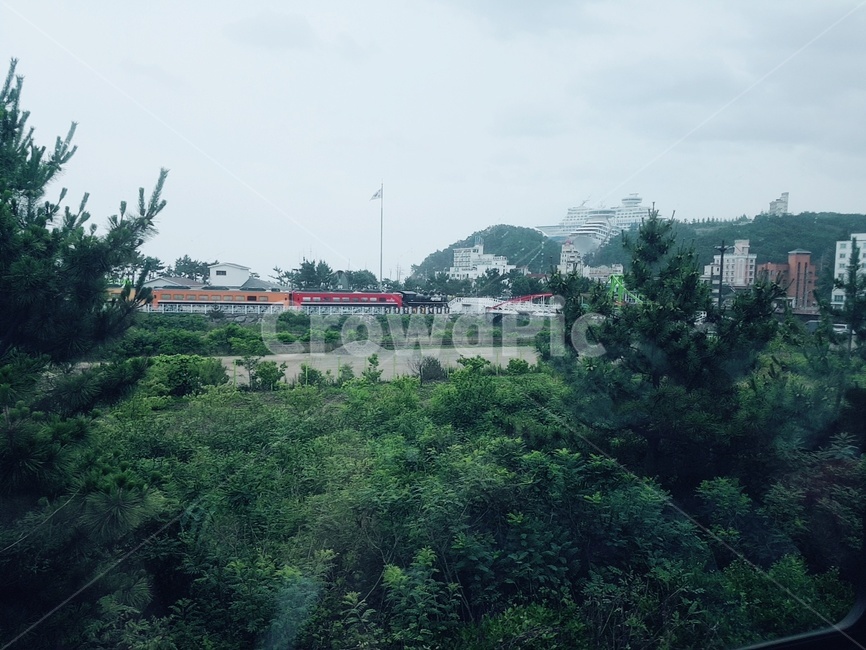 정동진,배,기차,나무,하늘,자연,풍경,nature,landscape