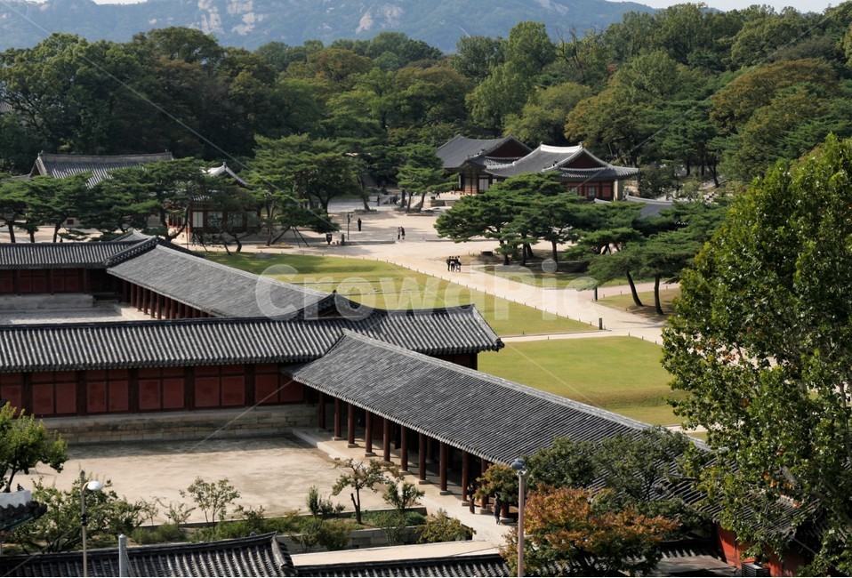 창경궁,전통,고궁,가을,풍경,한국전통,한국문화,korean traditional,korean culture,랜드마크,landmark,tourist attraction,한국랜드마크,한국관광지,한국명소,korea landmark,korea tourist attraction,건축물,건물외관,exterior,building,structure,architecture,construction