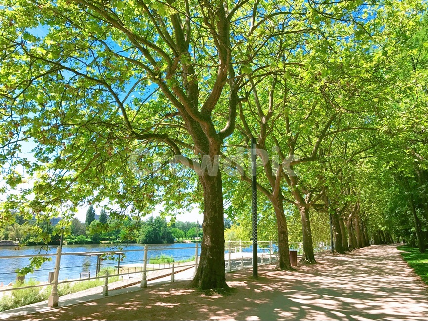프랑스,비시,화창,강가,바다,자연,풍경,nature,landscape,도시,city,해외,외국,세계,foreign,oversea,world,세계자연풍경,해외자연풍경,외국자연풍경,world nature landscape,세계도시풍경,해외도시풍경,외국도시풍경,world cityscape,식물,plants,나무,trees,wood,휴식,힐링,rest,relaxation,healing,tree,plant,outdoors,옥외