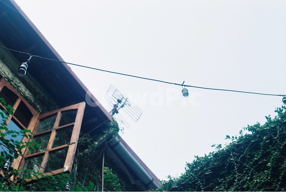 창문,열린창문,하늘,조각,경계,분위기,건축물,건물외관,exterior,building,structure,architecture,construction