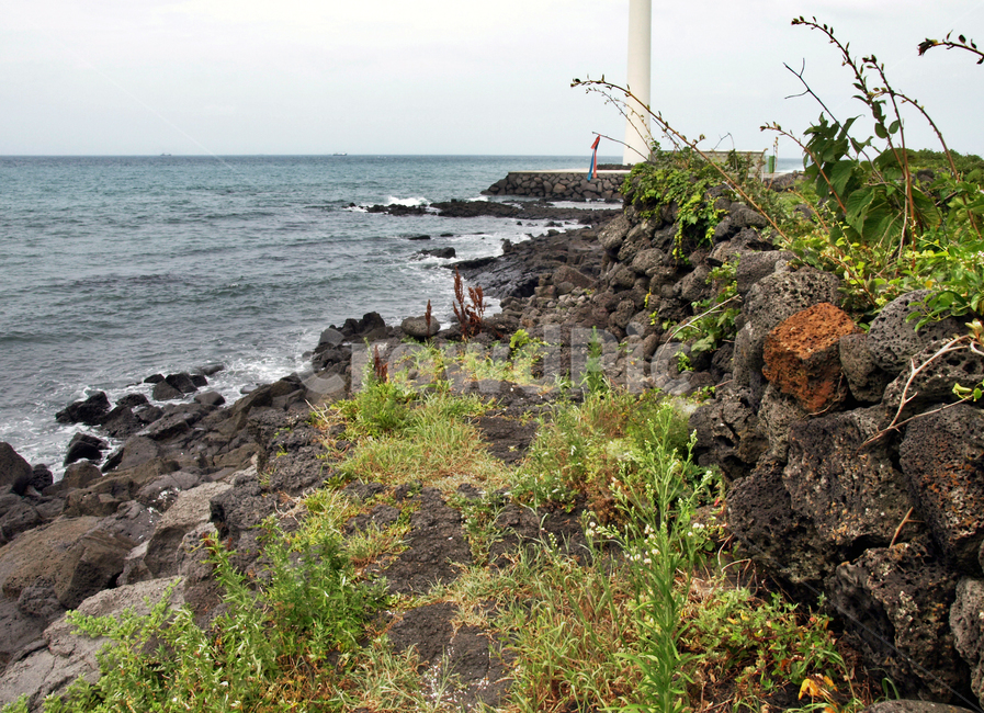 해안길,월령포구,제주,올레14코스,올레길,바다,돌담,자연,풍경,nature,landscape,제주도,jeju,jeju island,promontory,곶