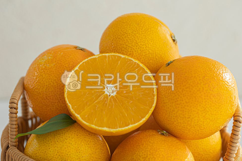 과일,감귤류,귤,천혜향,한라봉,레드향,황금향,제주도,비타민c,감귤