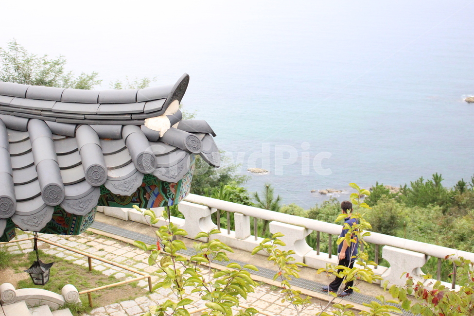 절,바다,부산,절경,풀,산,산뜻,맑음,화창,한국전통,한국문화,korean traditional,korean culture,건축물,건물외관,exterior,building,structure,architecture,construction