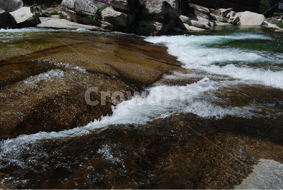 도락산,탐방로,자연,봄,한국,자연,풍경,nature,landscape,water,물,outdoors,옥외,river,강