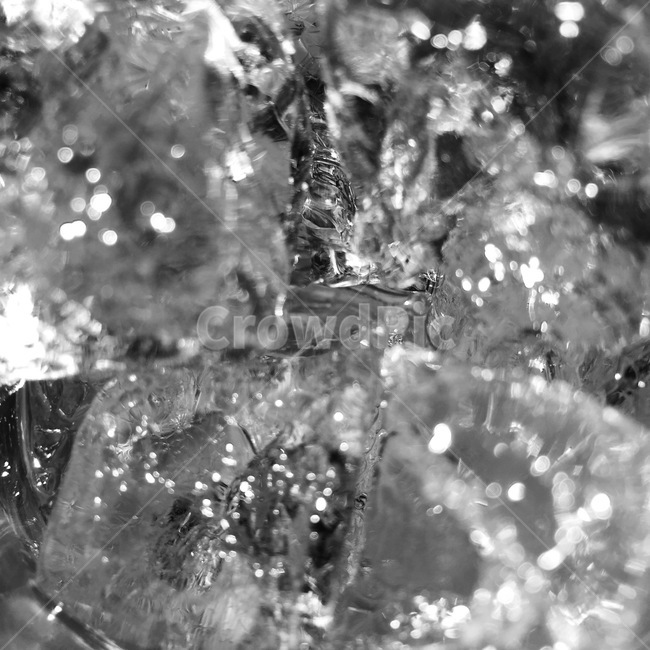 nature,ice,crystal,결정,얼음,흑백,흑백,모노톤,monochrome,black and white