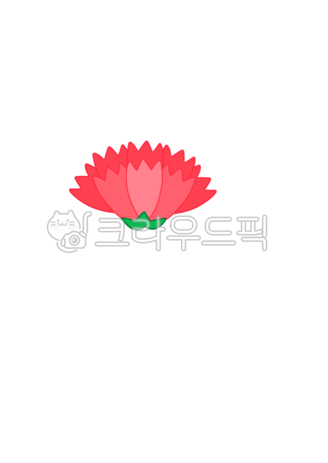 thanks,love,Commemoration,pink,plant,carnation,Mothers Day,event,flower,parents