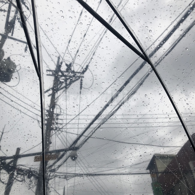 장마,비,우산,감성,투명우산,동네,전선,회색빛,우울,감정
