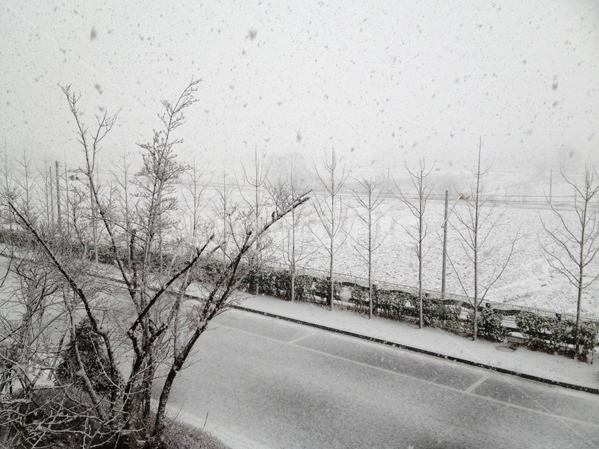 눈,겨울,눈발,눈송이,눈꽃송이,snow,snowing,winter,snowflake,snowflakes,겨울,계절,winter,season