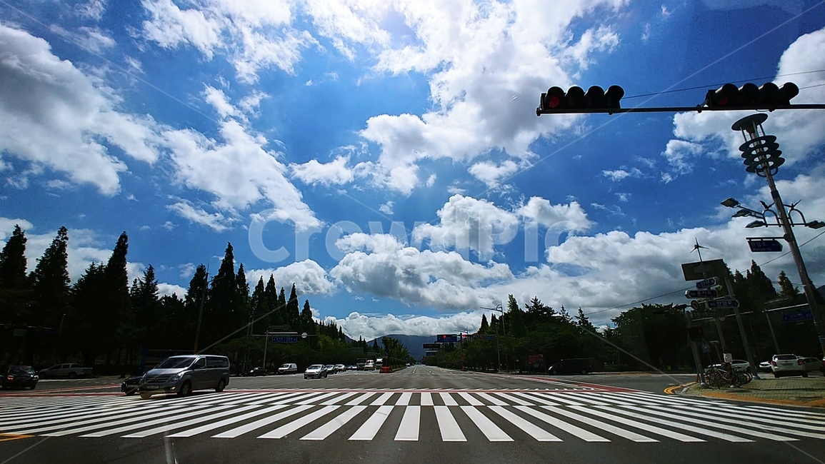하늘,횡단보도,신호등,구름,메타세콰이어,파란,멋있는,도로위하늘,asphalt,아스팔트,road,도로,tarmac,타맥,car,차,metasequare,crosswalk,automobile,자동차,멋진풍경,trafficlight,바탕화면,구름낀하늘,뭉게구름,파란하늘,나무,구름하늘,자연환경,새파란,멋진하늘,자연,풍경,멋진,이쁜,쨍한,쨍한하늘,새파란하늘,배경화면,배경,sky,nature,cloud,tree,blue,cloudycloud,bluesky