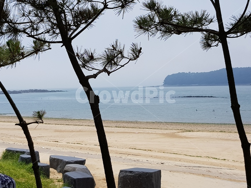 여름,바닷가,해변,조용한,배경