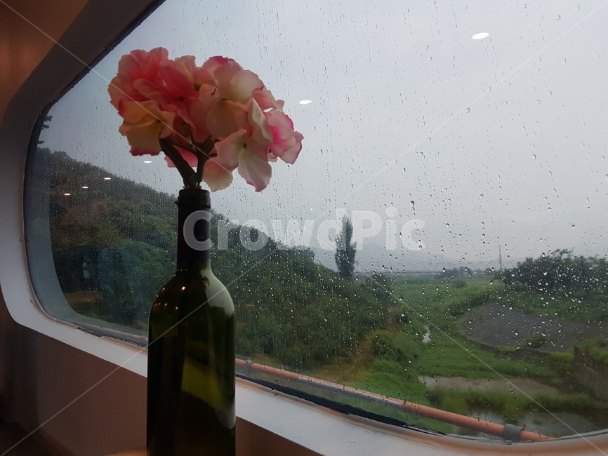 비,rain,풍경,밖,outdoors,sky