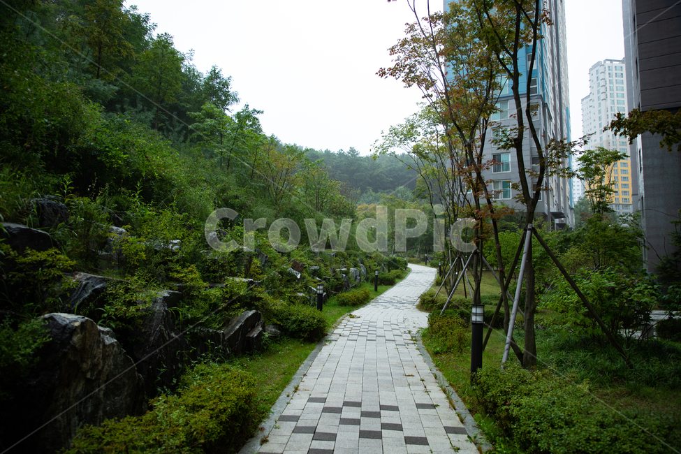 아파트,집,산책,apt,house,주거,신도시,단지,도시,풍경,city,landscape,flagstone,판석,path,통로,walkway,보도,outdoors,옥외,garden,정원