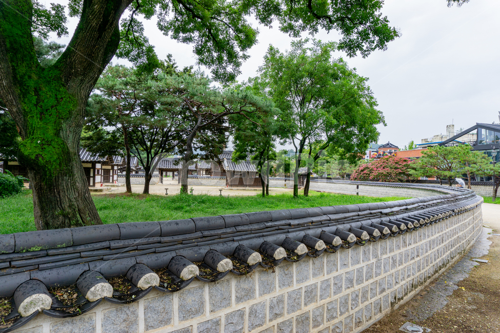 경기전,돌담,담,울타리,돌벽,stone,wall,fence,korea,traditional,architecture,전통,건축,여름,돌담길,담벼락,담벽,전주,국내,한국,tour,역사,이성계,조선,문화재,유적,문화유산,사적,tree,나무,plant,식물,한옥마을,joseon,흐린날씨,비,rain,rainy,garden,정원