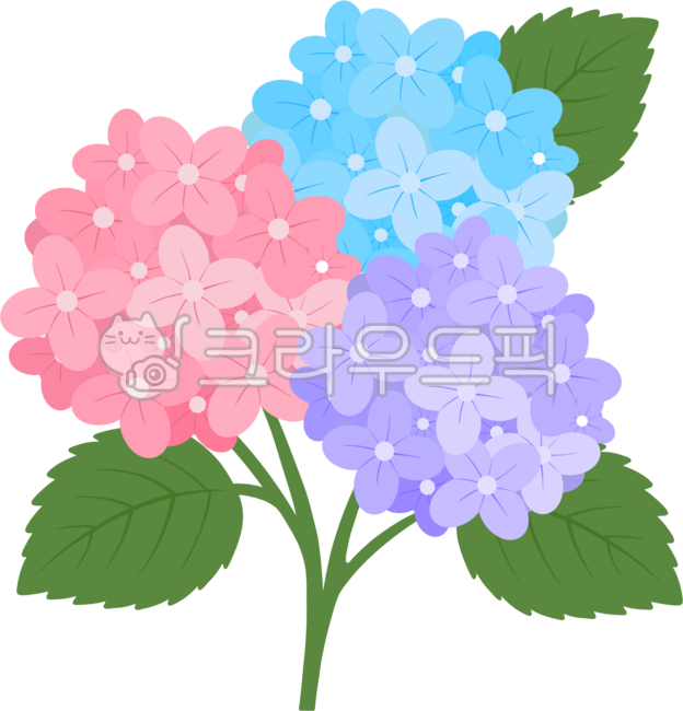 Hydrangea,summer,flower shape,hydrangea clip art,hydrangea festival,hydrangea illustration,hydrangea drawing,hydrangea image,flower element,hydrangea illustration,hydrangea shape,hydrangea flower,summer flower,hydrangea bouquet,flower bud,h