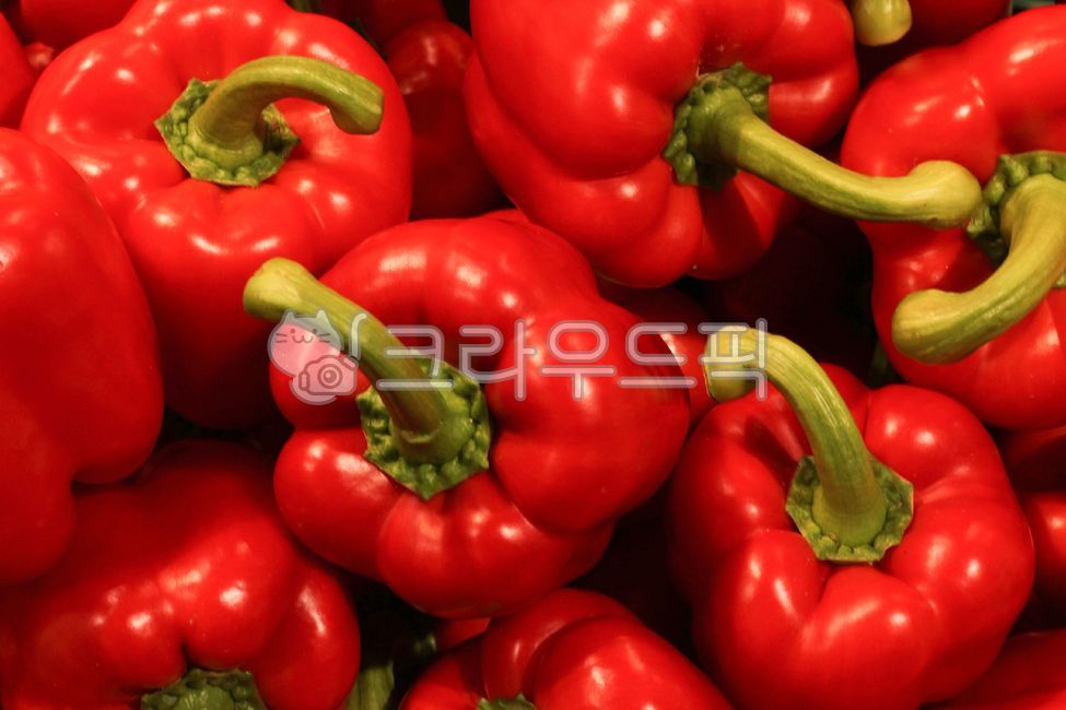 파프리카,paprika,채소,음식,vegetable,빨간파프리카,redpaprika,채소,야채,vegetables
