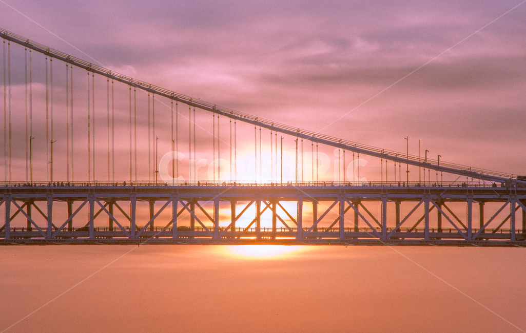 light,빛,flare,플레어,sunlight,광안대교,부산,busan,일출,태양,햇빛,sunrise,sun,자연,풍경,nature,landscape,한국자연풍경,한국자연경관,korea nature landscape,새해,new year