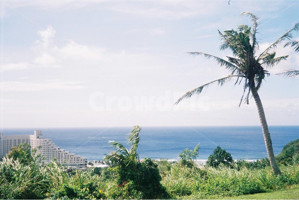 괌,guam,바다,야자수,하늘,palm,sea,beach