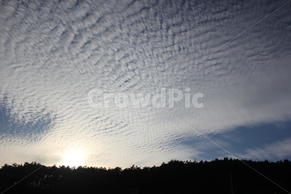 하늘,구름,산,권적운,띠구름,해질녘,태양,자연,sky,cloud,mountain,sun,mood,feeling,nature,tree,sunset