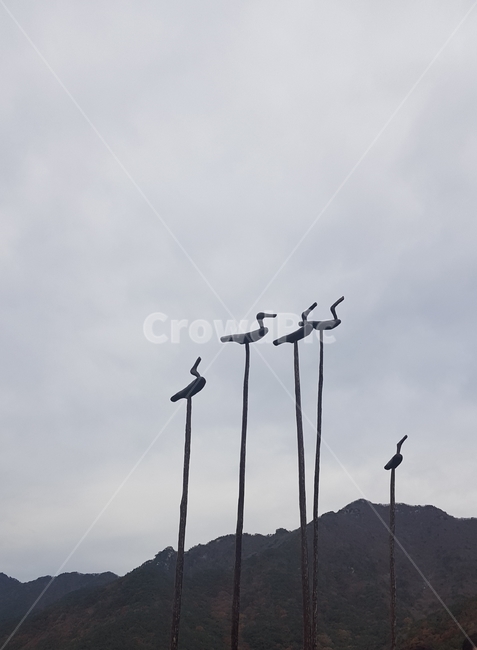 솟대,팔공산,새,bird,토속적,신앙