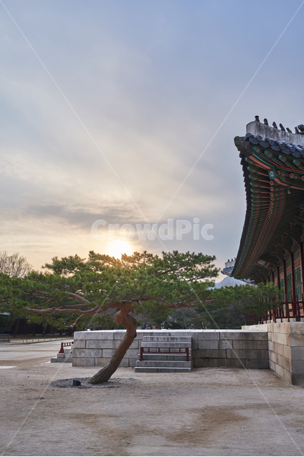 경복궁,고궁,기와,랜드마크,한국전통,한국문화,석양