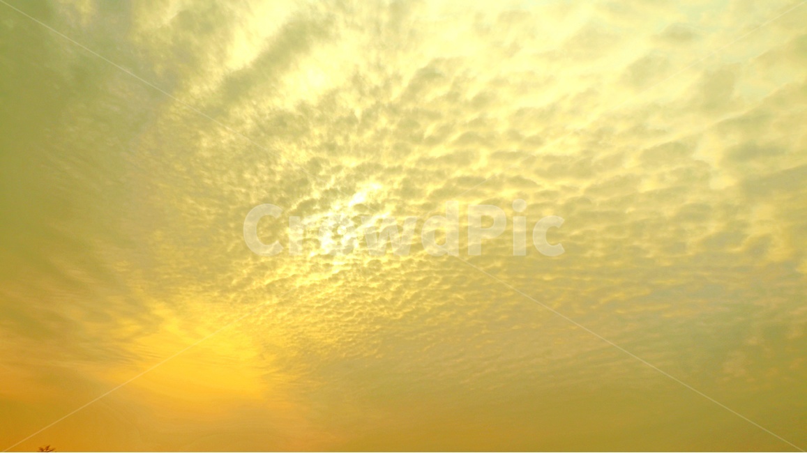 하늘,구름,새털구름,자연풍경,태양,자연,풍경,nature,landscape,outdoors,옥외,sky,sunlight,햇빛