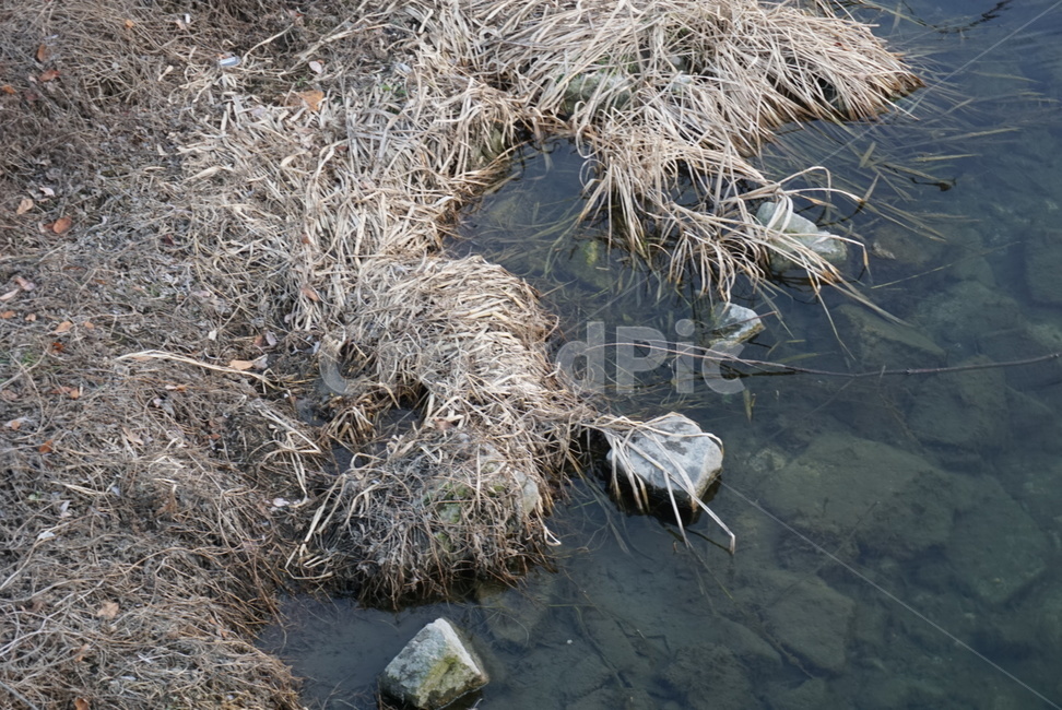 nature,자연,water,물,outdoors,옥외,개천,river,winter,겨울