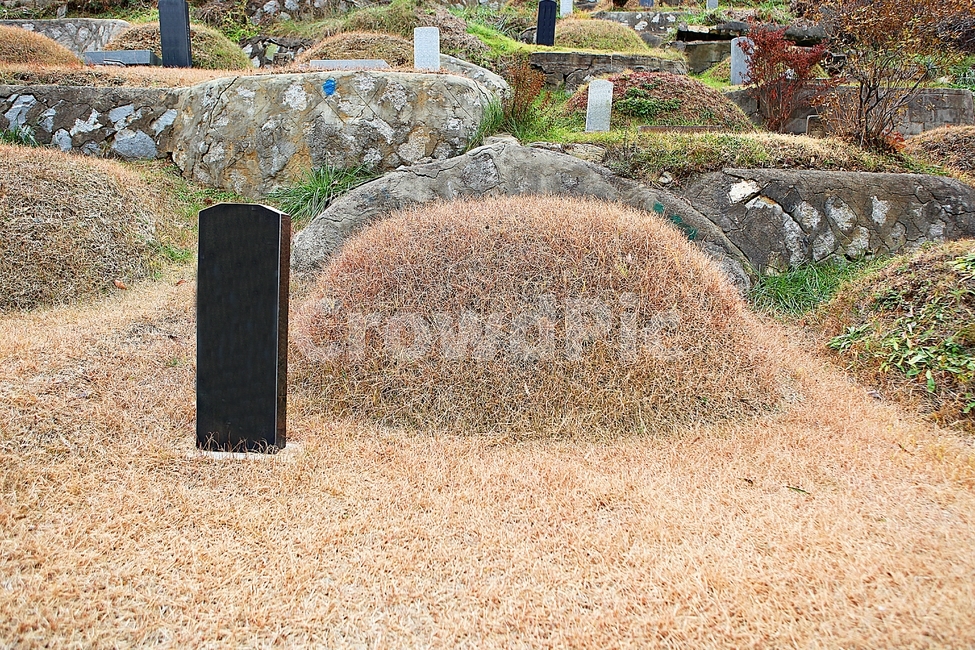 인천시립공동묘지,부평공동묘지,묘지,묘,비석,잔디,봉우리,식물,자연,풍경