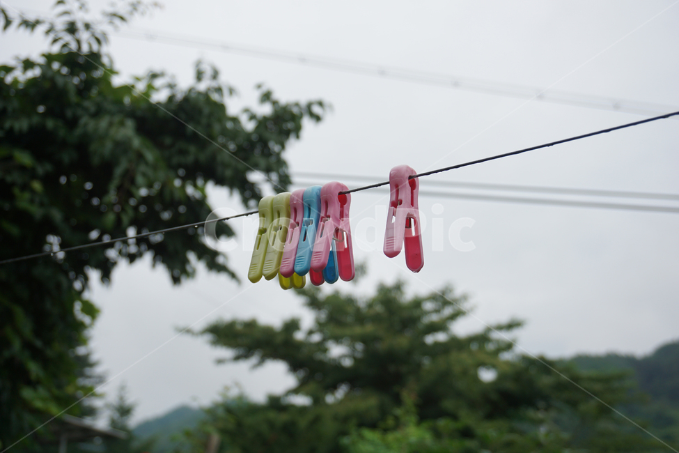 빨래집개,집개,빨래,빨래줄,시골,여름,clothespin,wash,비,비온뒤,country,감성,오후,rain,summer,raindrop,빗방울,나무,tree,green