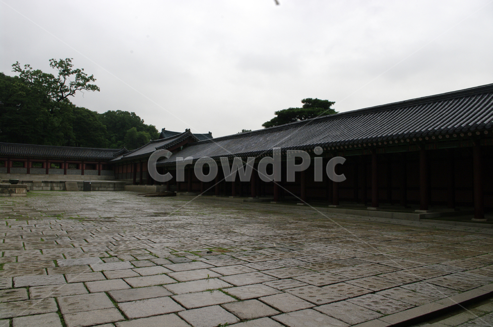 창덕궁,고궁,기와지붕,건축,traditional,박석,돌,한국전통,한국문화,korean traditional,korean culture,랜드마크,landmark,tourist attraction,한국랜드마크,한국관광지,한국명소,korea landmark,korea tourist attraction,건축물,건물외관,exterior,building,structure,architecture,construction