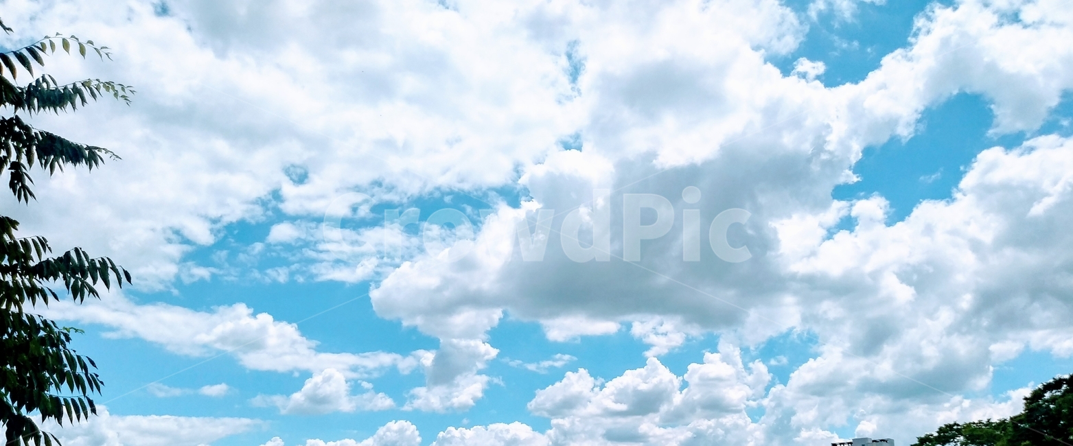 푸른하늘,하늘,sky,자연,nature,풍경