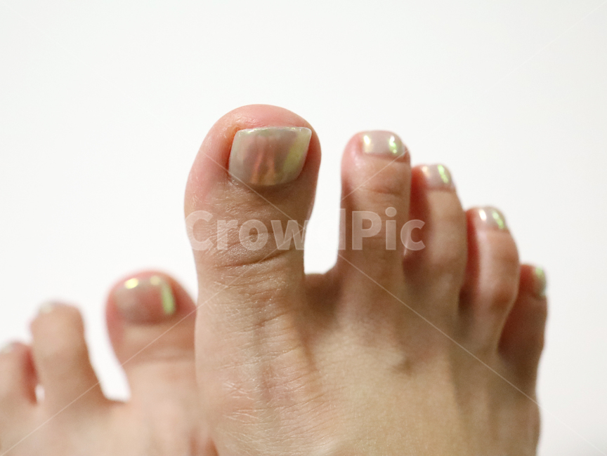 toe,발가락,여자발,인간,사람,human,핏줄,혈관,person,woman,female,맨발,신체일부,body,패디,패디큐어,젤네일,네일,젤패디,메탈파우더,사람,인물,인간,human,person,신체일부,몸,body
