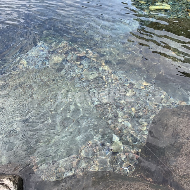 계곡,자연,물,water,시원함