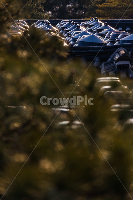 장독대,된장,고추장,한국전통,오래된맛,한국전통,한국문화,korean traditional,korean culture