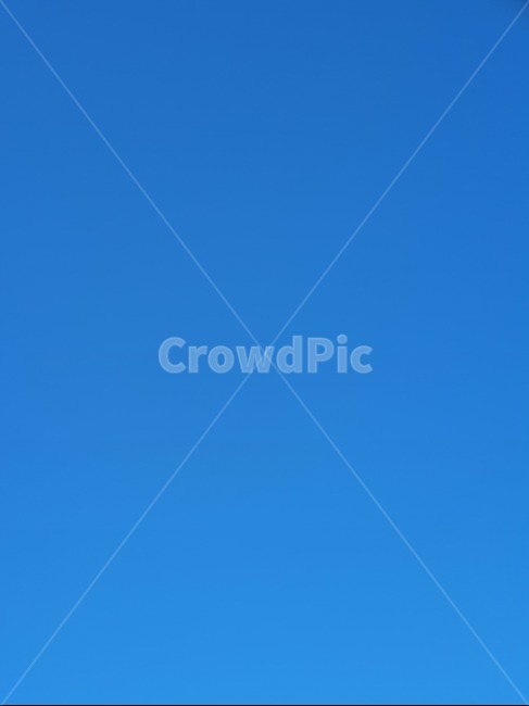 flying,sky,cloud,blue,하늘,날씨,자연,풍경,nature,landscape,나는,animal,동물,bird,새