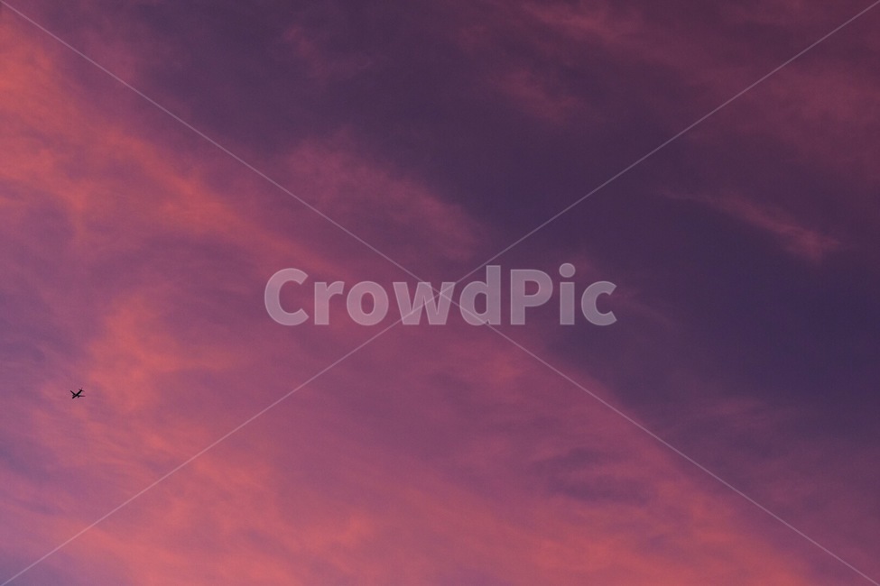 하늘,보라,비행기,배경,sky,풍경,view,자연,풍경,nature,landscape,색깔,색상,색채,색감,color sense,color sensitivity,feeling of color,outdoors,옥외