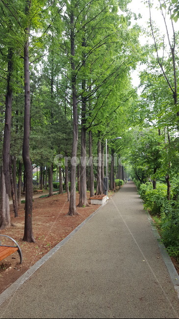 숲,산책,힐링,싱그러운,햇살,자연,자연,풍경,nature,landscape,outdoors,옥외,garden,정원,arbour,정자