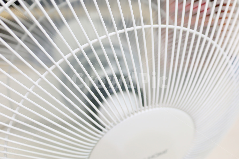 선풍기,여름,바람,더위,날개,여름,계절,summer,season,사물,물건,오브젝트,thing,object,matter,electric fan