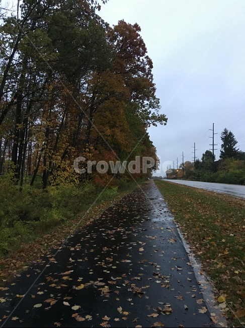 가을,단풍,길,street,fall