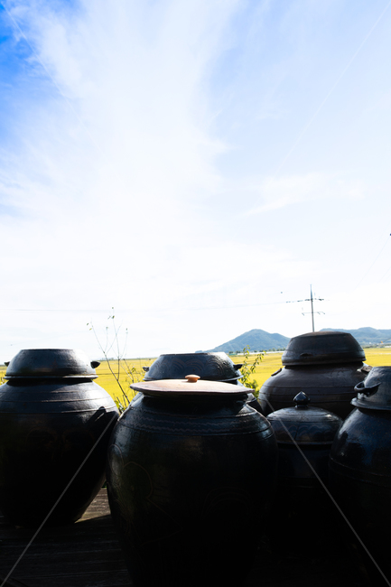 시골,항아리,전통,휴식,가을,한국전통,한국문화,korean traditional,korean culture