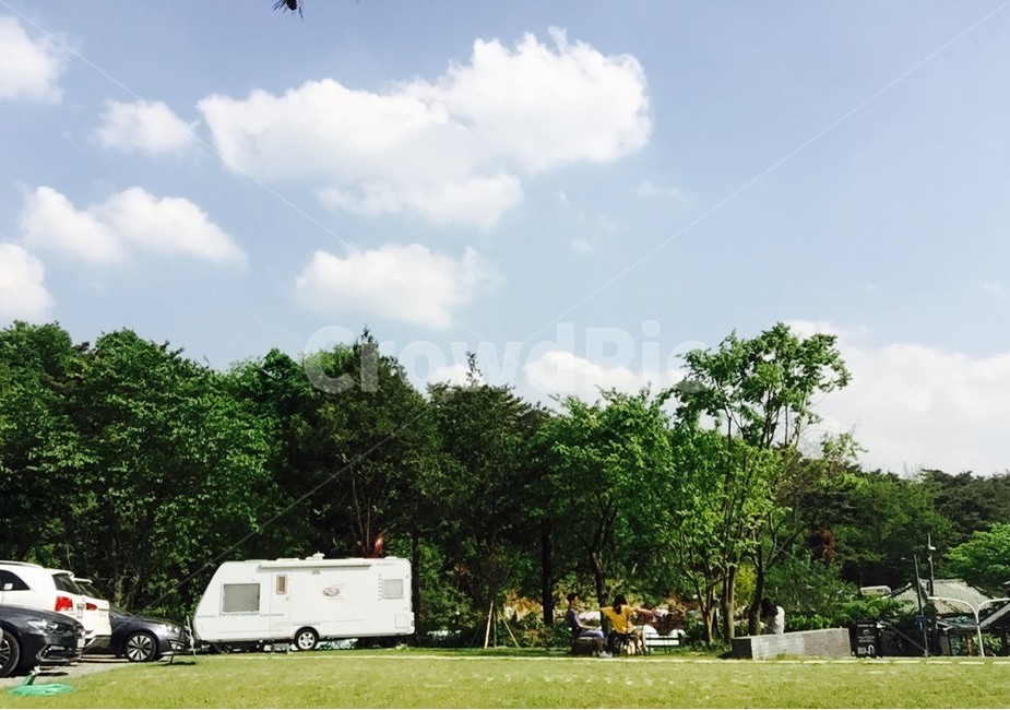 초록,들판,커플,연인,나무,팔당,자연,풍경,nature,landscape,plant,식물,grass,잔디,truck,트럭,transportation,교통,vehicle,차량