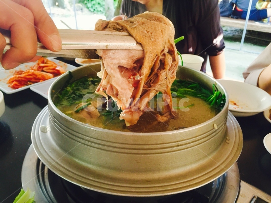 삼계탕,몸보신,여름,닭,건강,chicken,음식,식재료,요리,food,cook,meal,dishes,food reserves,한식,한국음식,한국요리,korean food,korean dishes,korean meal,korean cook