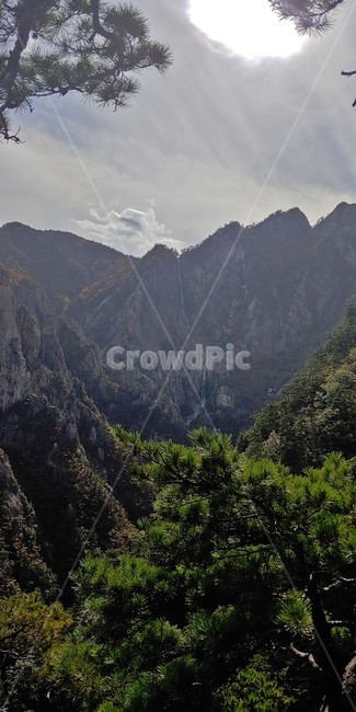 폭포,설악산,토왕성폭포,자연,산,경관,경치,나무,등산,비경,한국의산,풍경