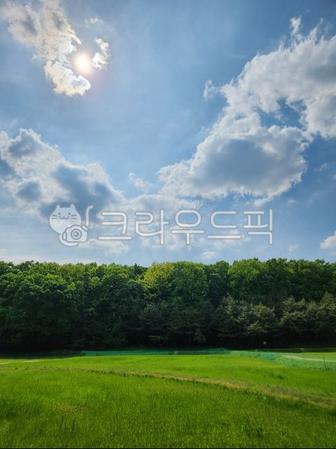 초원, 들판, 숲, 공원, 하늘, 사진,이미지,일러스트,캘리그라피 - Niamwinmir작가
