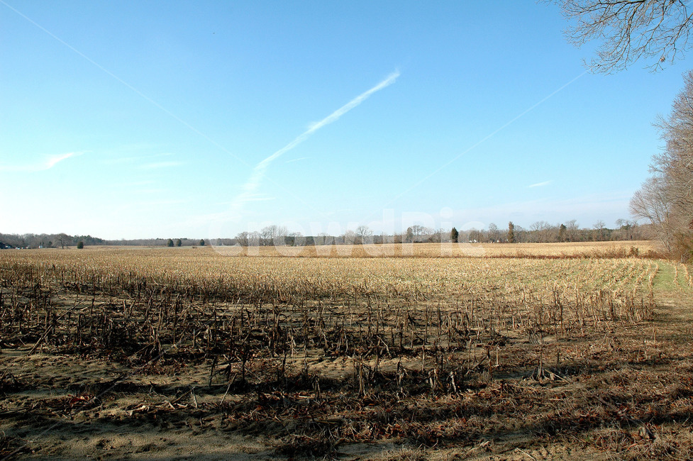 nature,자연,soil,land,outdoors