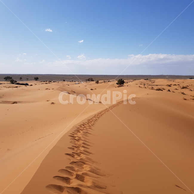 사막,발자국,모래,desert,황량함,자연,풍경,nature,landscape,해외,외국,세계,foreign,oversea,world,세계자연풍경,해외자연풍경,외국자연풍경,world nature landscape,soil,흙,sand,outdoors,옥외,dune,모래 언덕