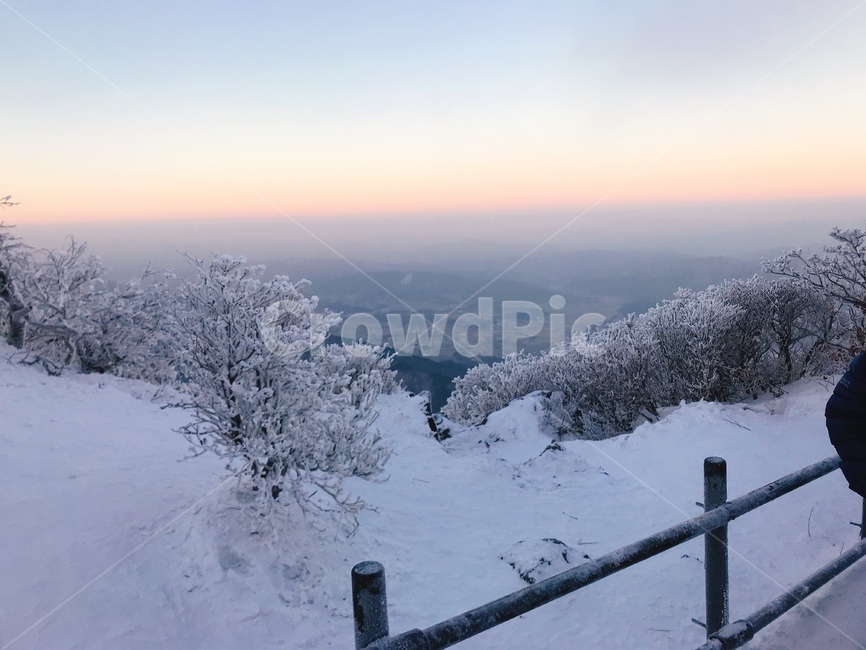 겨울산,등산,눈,나무,겨울풍경