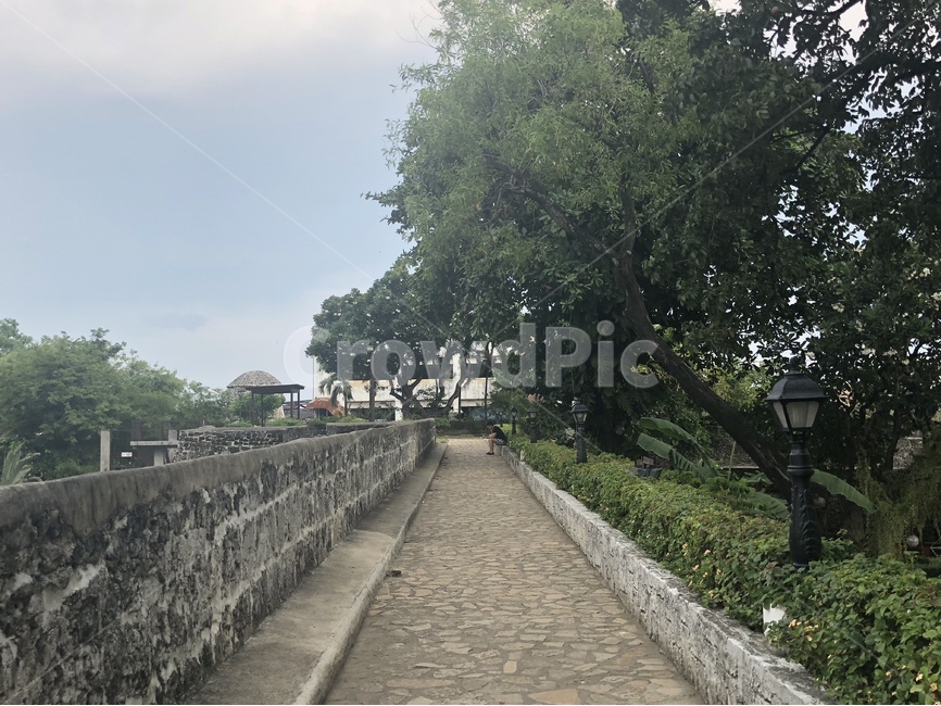 풀,나무,자연,공원,하늘,green,blue,natural,park,tree,자연,풍경,nature,landscape,path,통로,walkway,보도
