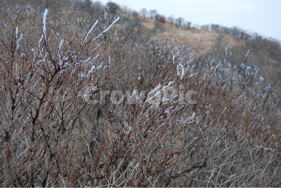 등산로,hikingtrail,autumn,가을,산,겨울,계절,winter,season,자연,풍경,nature,landscape,grass,잔디,plant,식물