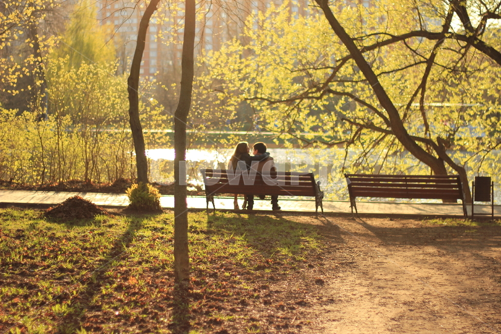 데이트,연애,연인,따스함,공원,커플,자연,풍경,nature,landscape,사람,인물,인간,human,person,연인,커플,사랑,lover,couple,bench,벤치
